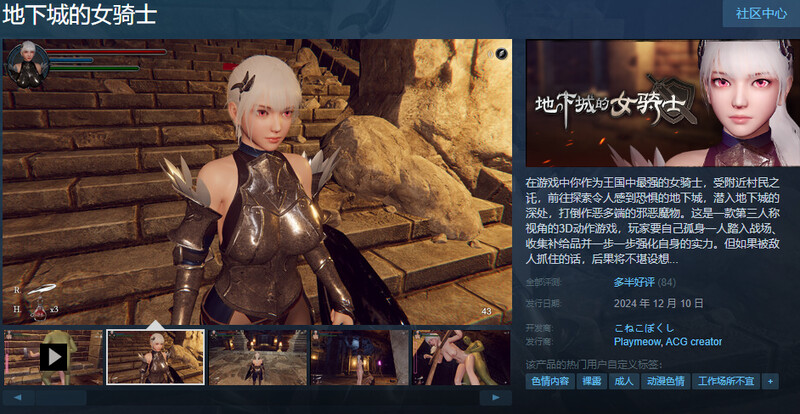 ST12月新作【爆款ACT/3D作品/全动态】地下城的女骑士(地下城の女騎士)STEAM官中步兵【3.40G】
