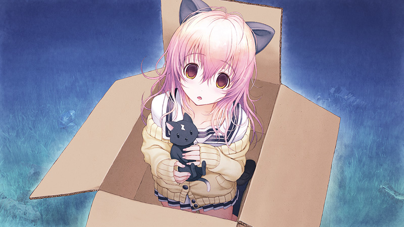 アオイ_捨て猫