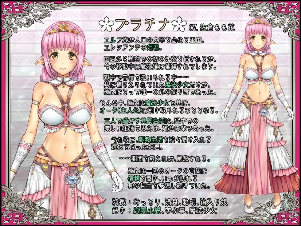 少女異種間獄 ～魔法少女&エルフ姫、オークと過ごす異世界性活～ [オトギ堂]
