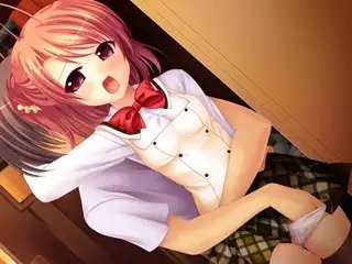 ヤンもえ双子姉妹～病んで孕んで愛されて…～ [スワンマニア]