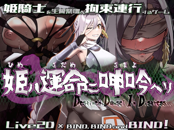 新作[动作ARPG/恶堕/动态] 姬在命运中呻吟 姫ハ運命ニ呻吟ヘリ Destined Damsel In Distress 生肉版 [640M]-ACG游戏姬