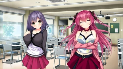 图片[4]-新作[日式ADV/后宫/动态] 真实动漫情境体验！DT アルエロゲシチュエーション！DT Ver1.0.0 STEAM官方中文步兵版 [6.50G]-ACG游戏姬