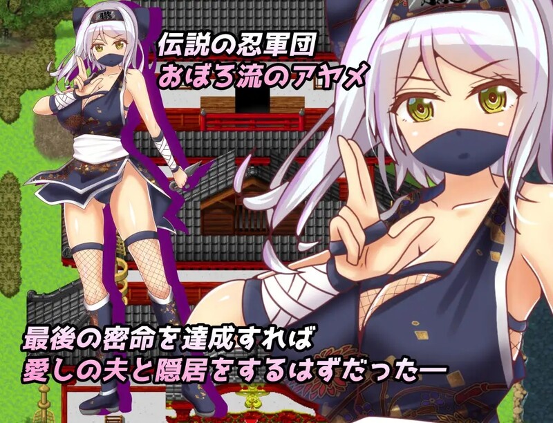 补档【回合RPG/动态/官中】戴绿帽子的国一忍者（Ninja Infiltration）正式版 STEAM官中【400MB】-ACG游戏姬