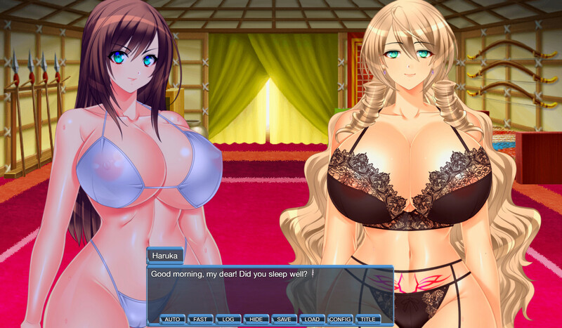 图片[2]-[日式RPG/官中] 地牢女英雄 Climax Heroines Build.12791812 STEAM官中版 正式版+DLC [500M]-ACG游戏姬