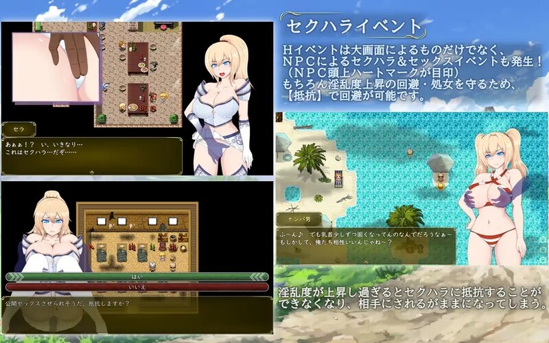 图片[2]-[日式RPG/汉化] 塞拉与诺艾尔～俘虏公主的去向～ セラ&ノエル～囚われしプリンセスの行方～ v2.0 精翻版 [PC+安卓 3.40G]-ACG游戏姬
