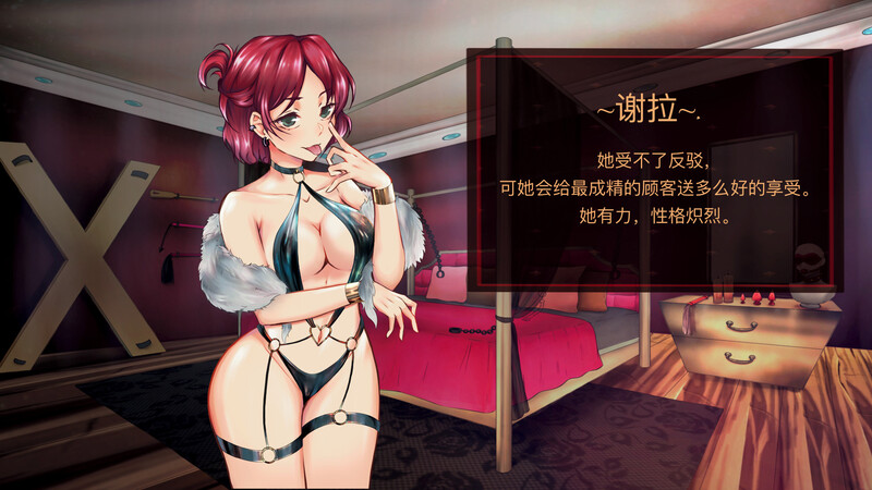 [日式SLG/官中] 天堂喜悦 Paradise Delight V2.0 STEAM官中步兵版+全DLC [800M]-ACG游戏姬