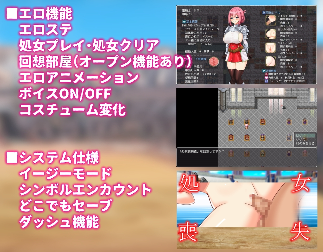 聖騎士リアナ 監獄島の女隷剣闘士 [dHR研]
