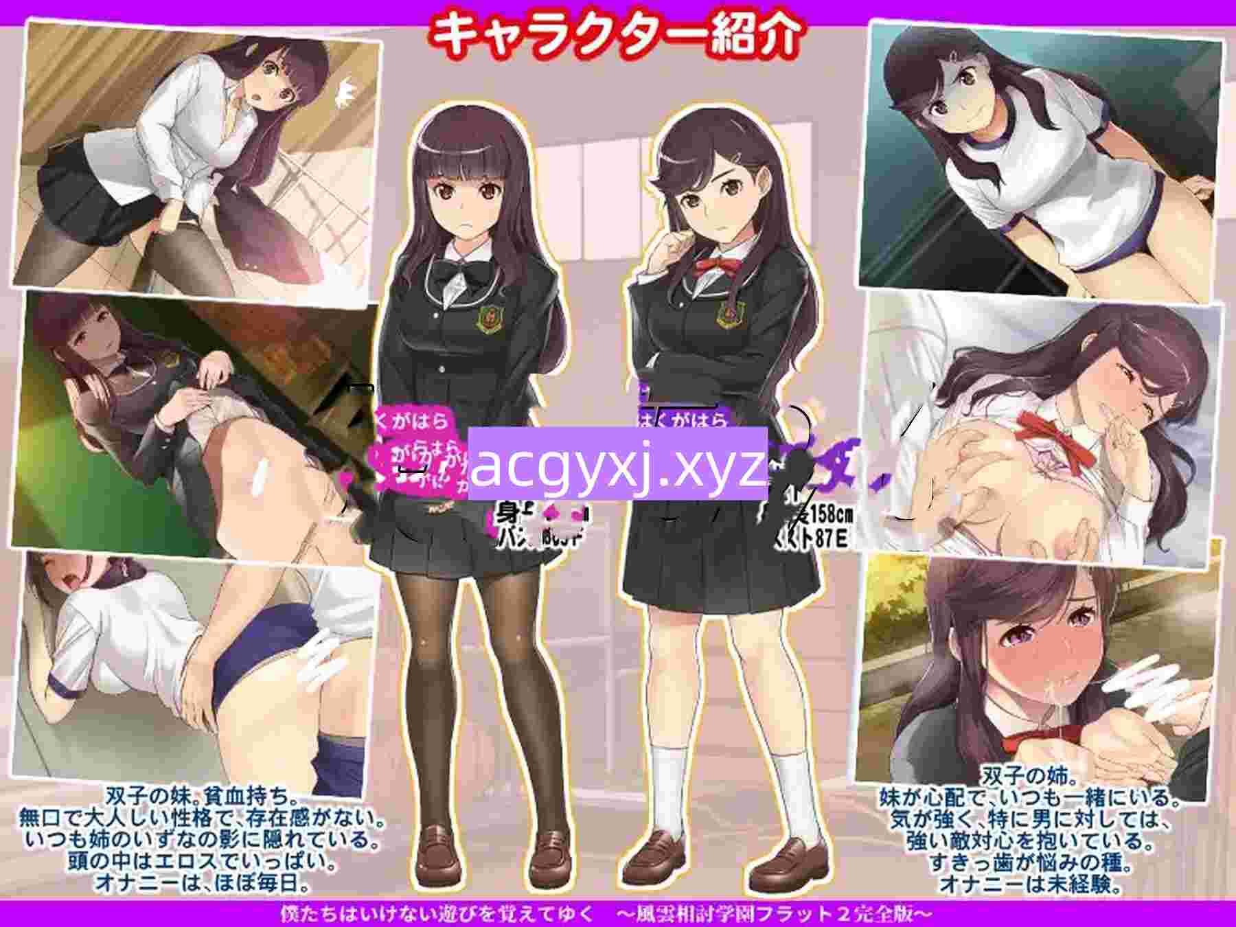 图片[3]-新汉化[日式ADV] 风云相讨学园Flat2-完全版 風雲相討学園フラット2完全版～ 个人精翻汉化版 全CG存档+DLC [980M]-ACG游戏姬