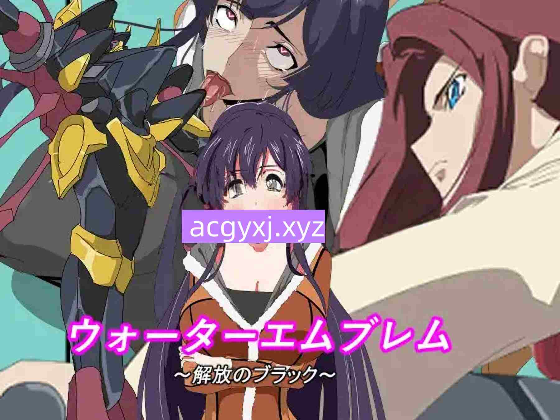 新作[日式SRPG] 水之纹章~黑之解放~ ウォーターエムブレム~解放のブラック~ AI汉化版 [890M]-ACG游戏姬