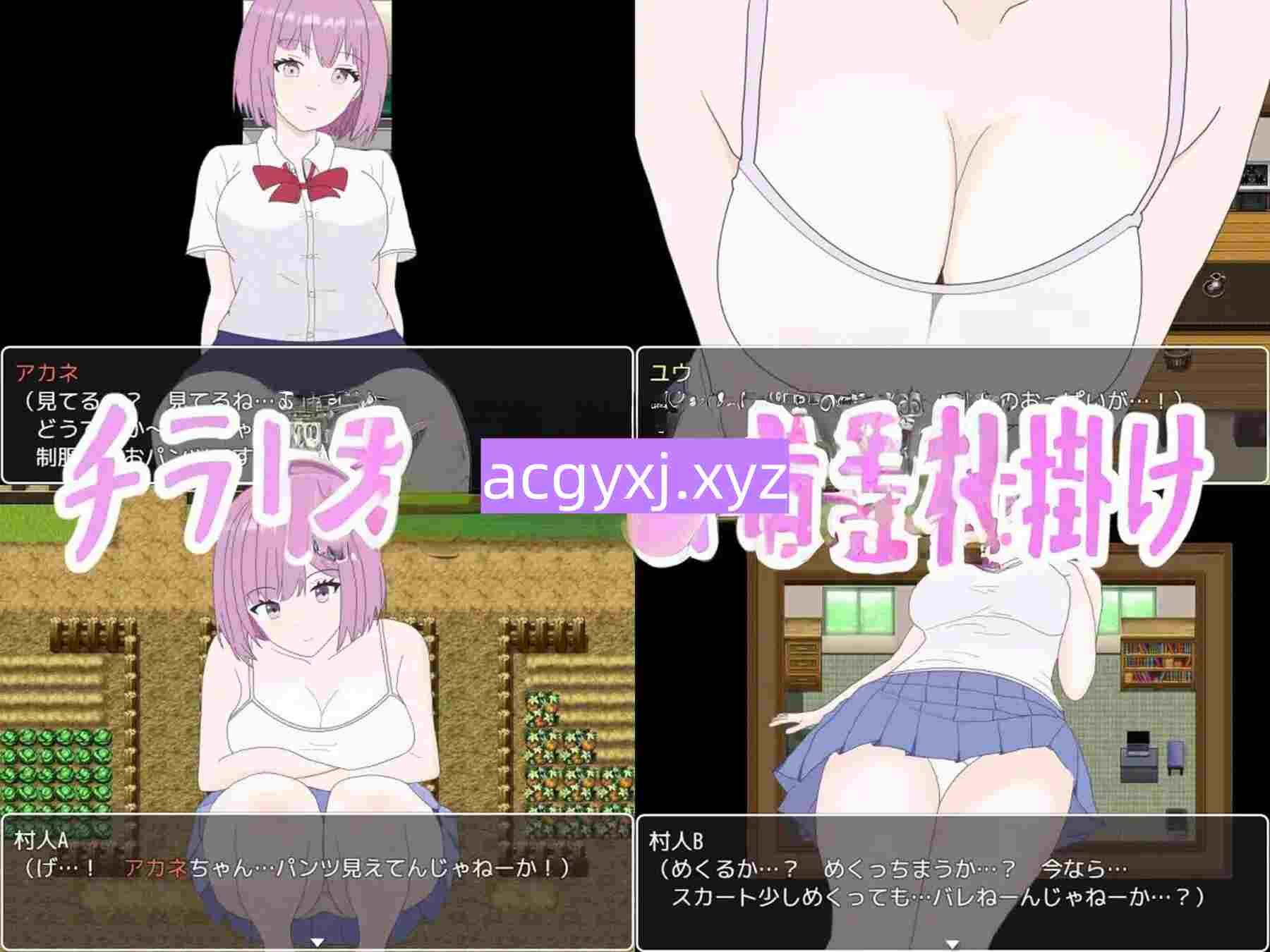图片[2]-新汉化[日式RPG] 乡村里来了一位性欲的少女！这竟是村庄衰败的开端…… 田舎の村に、エッチなお姉さんがやって来た!それは村の崩壊の始まりだった… 内嵌AI汉化版+作弊码 [ PC+安卓490M]-ACG游戏姬