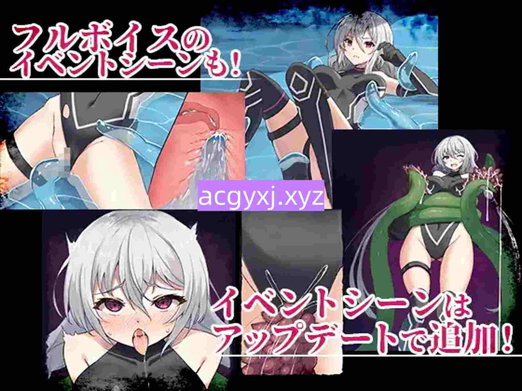 图片[3]-[日式ACT/动态] 夢幻 – Endless Dream – v1.0.1.0 生肉版 [4.50G]-ACG游戏姬