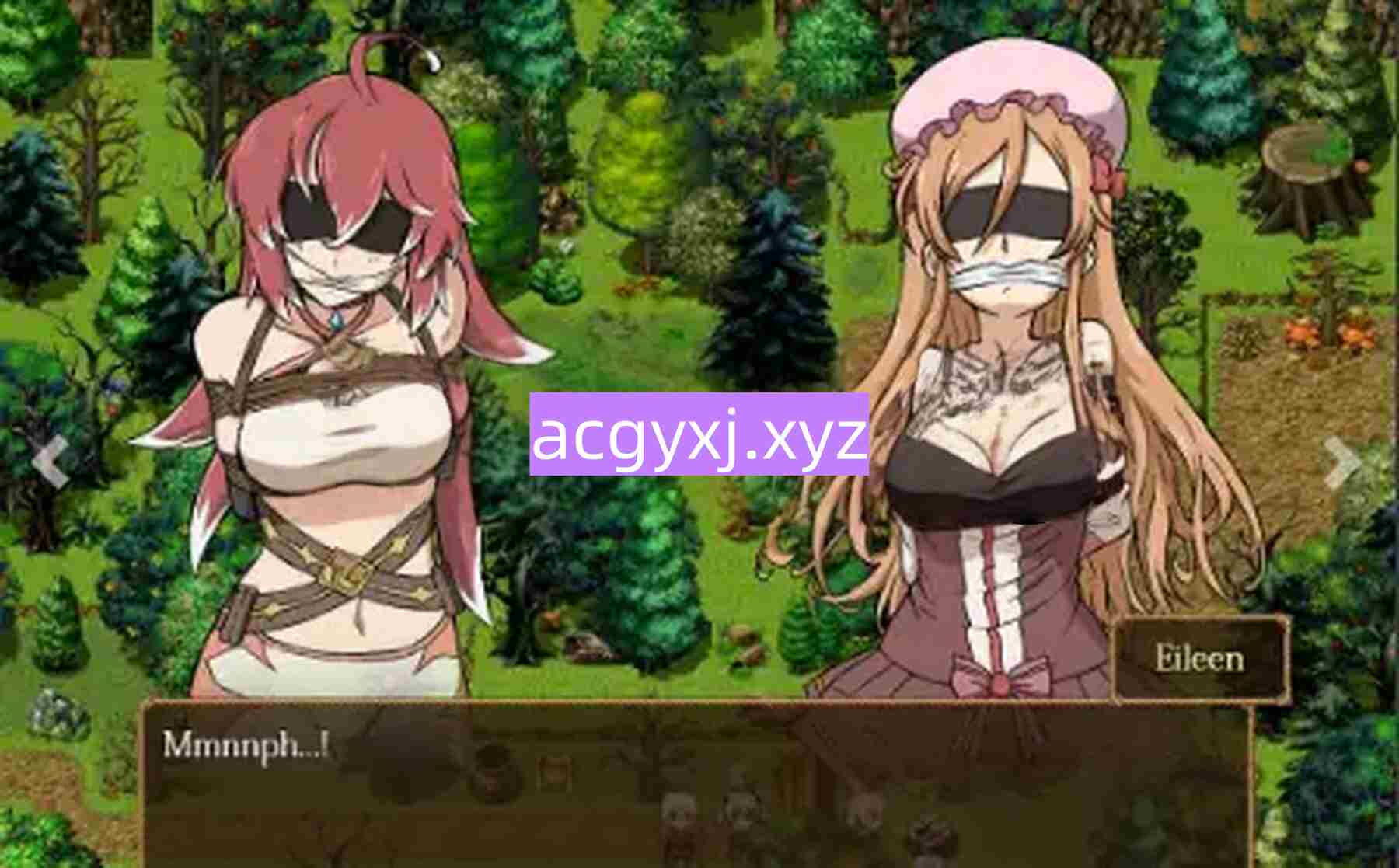 新汉化[日式RPG] Didnapper2 v1.2.3 内嵌AI汉化版 [1.90G]-ACG游戏姬