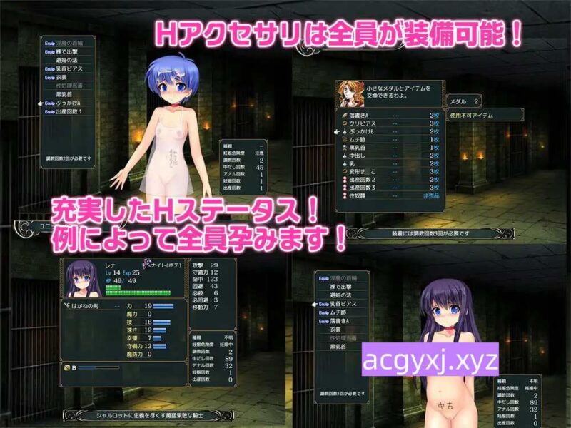 新汉化[战略SRPG/奴隶/扮演] 奴隶公主夏洛特 奴隷王女シャルロット Ver1.12 AI汉化版+全回想存档 [1.60G]-ACG游戏姬