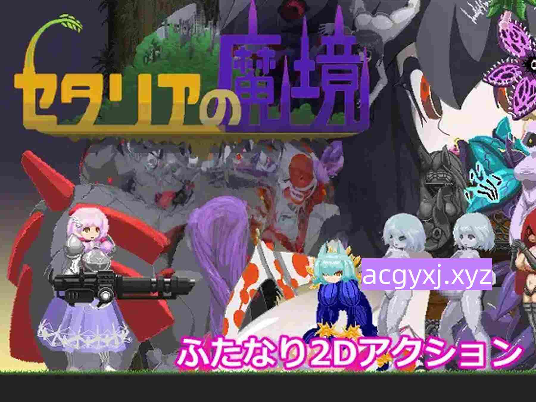 新汉化[日式ACT/魔境] 塞塔利亚魔镜 セタリアの魔境 V1.21 精翻汉化版+存档 [140M]-ACG游戏姬