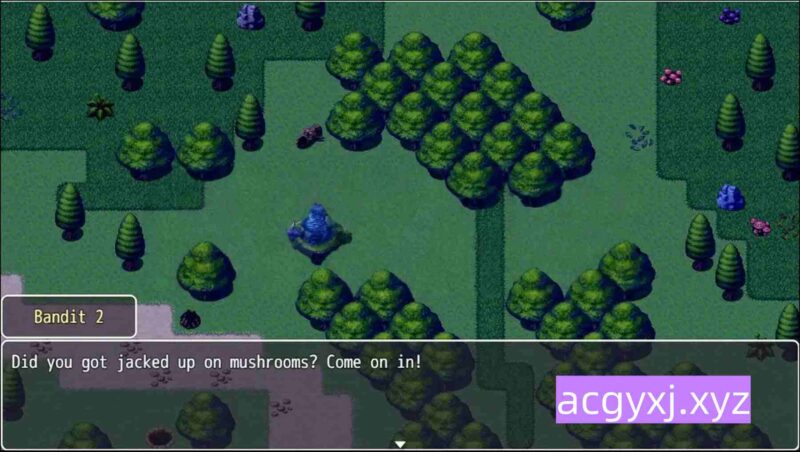新汉化[日式RPG] 自己的道路 v0.1.0.1 内嵌AI汉化步兵版 [1.0G]-ACG游戏姬