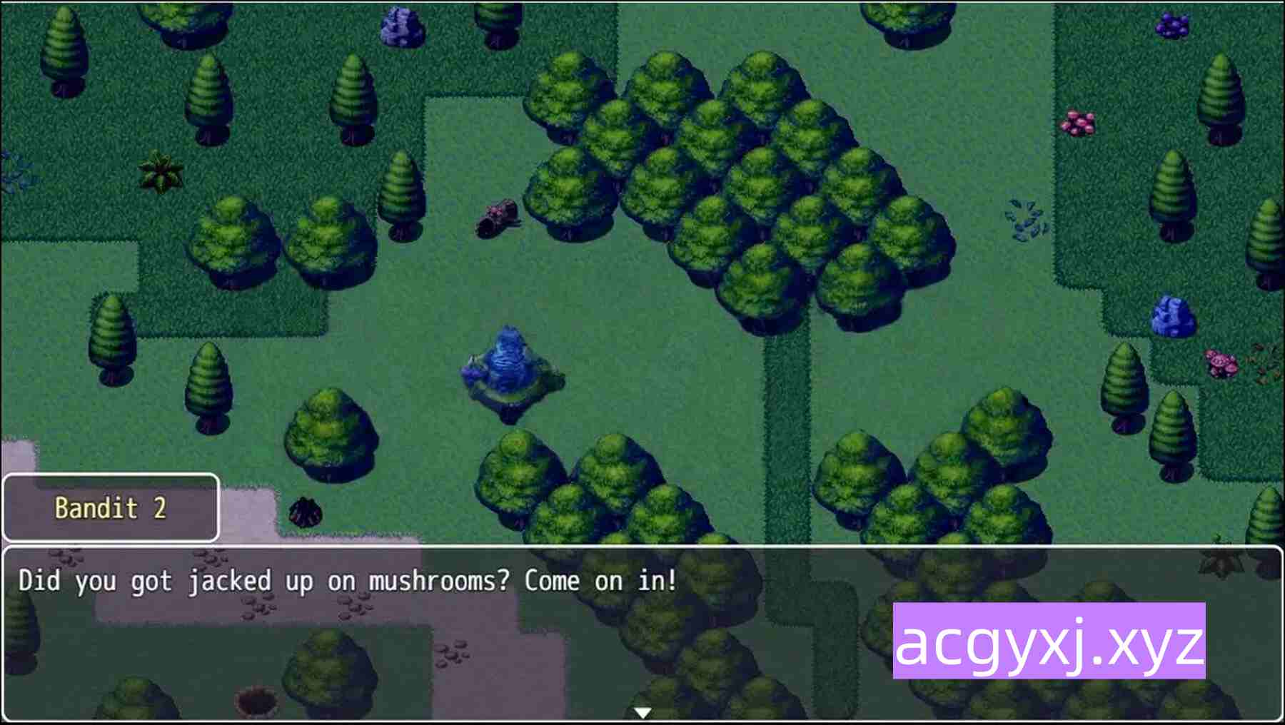 新汉化[日式RPG] 自己的道路 v0.1.0.1 内嵌AI汉化步兵版 [1.0G]-ACG游戏姬