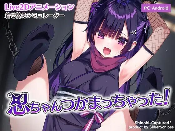新作[捆绑SLG/Live2D/动态] 小忍被抓住啦！忍ちゃんつかまっちゃった！  正式版+存档 [PC+安卓220M]-ACG游戏姬