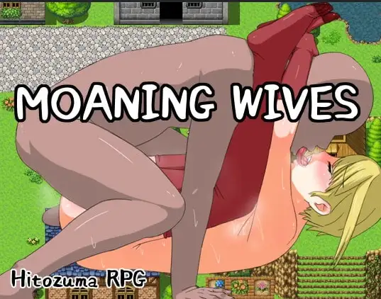 新汉化[日式RPG] 呻吟的妻子 v1.0  内嵌AI汉化版 [PC+安卓340M]-ACG游戏姬
