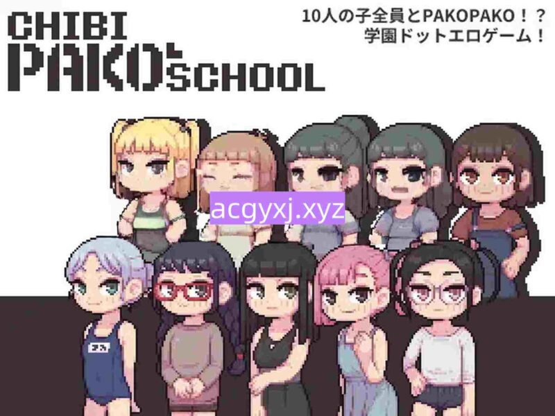 新作[日式SLG/像素动态] 迷你PAKO学校 Chibi PAKO School 生肉版 [190M]-ACG游戏姬