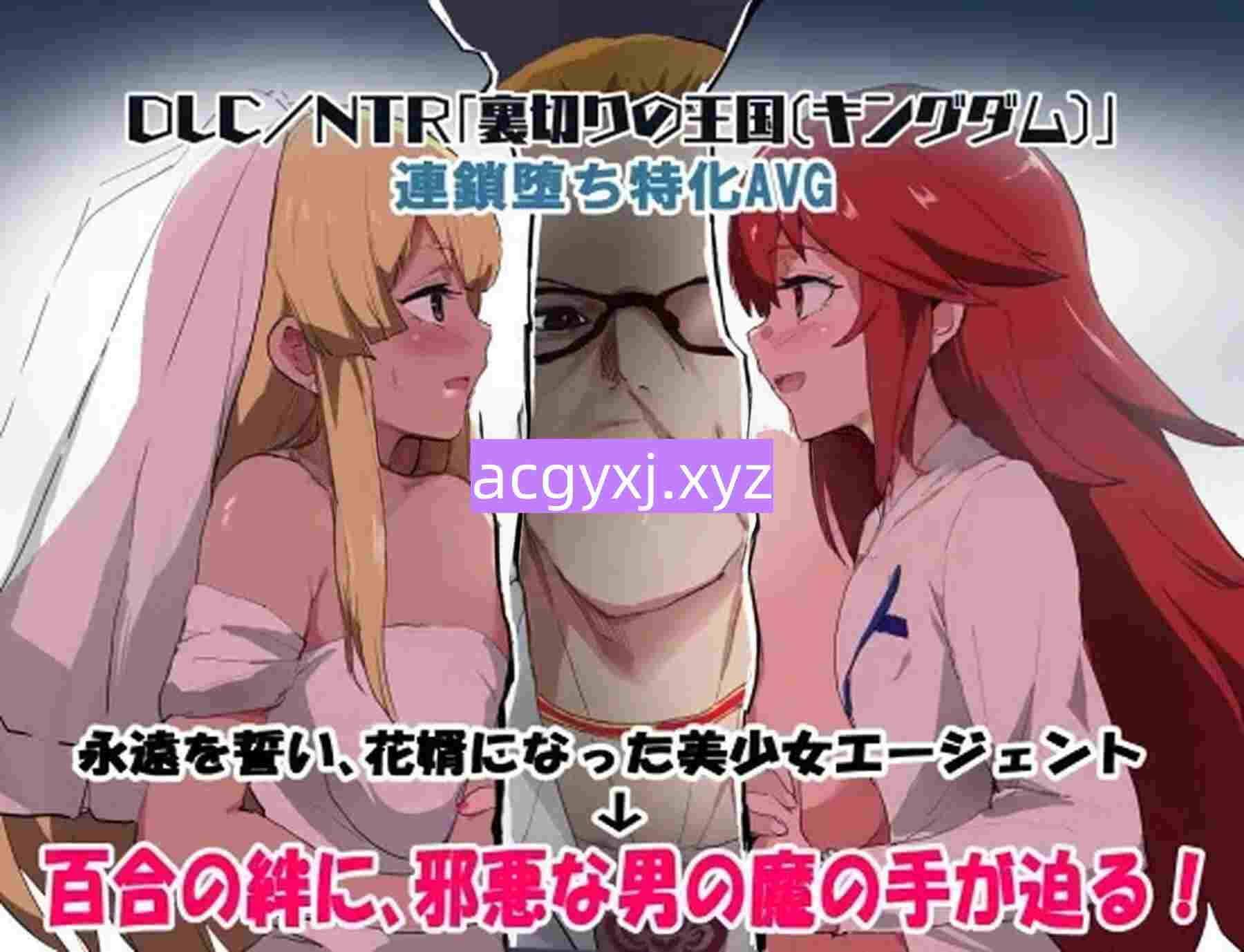 图片[3]-新作[探索RPG/NTR/堕落] 特工天狼星：幕间 エージェントシリウス インタルード Demo Ver1.0 AI汉化版 [440M]-ACG游戏姬