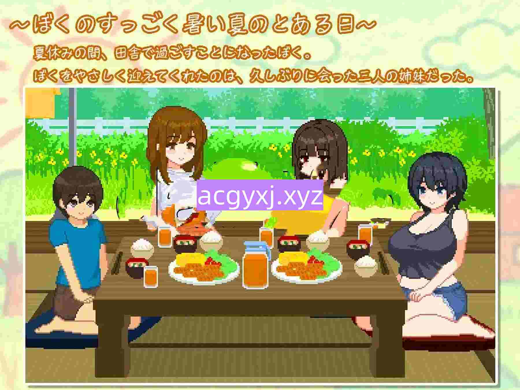 图片[2]-新作[日式SLG/像素动态] 我与夏日里的姐姐们 ぼくと夏のおねえちゃん達 AI汉化版+全回想存档 [1.0G]-ACG游戏姬