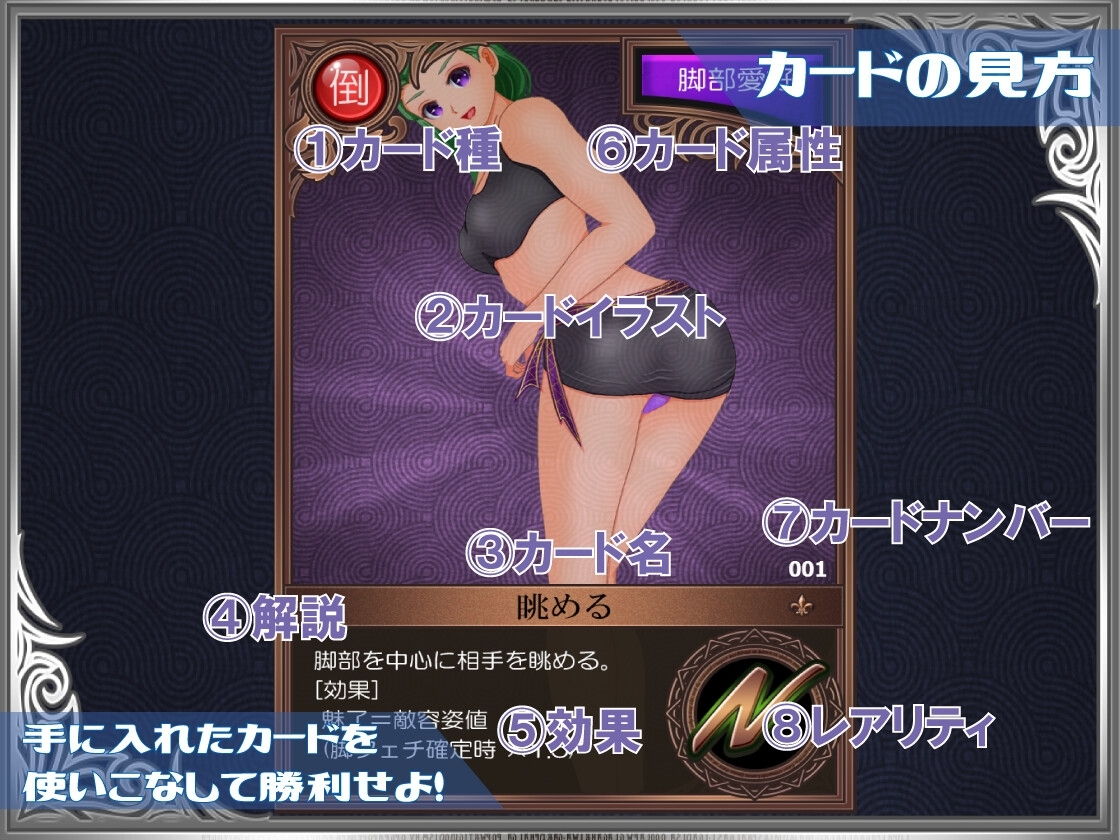 勇者は美脚に弱すぎる！ [トリコロールゲームズ]