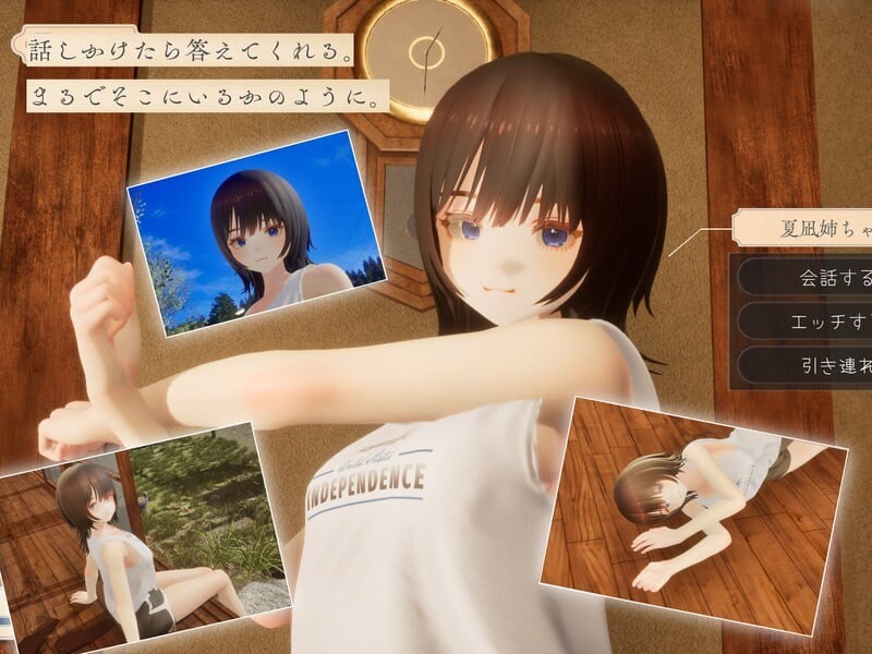 图片[2]-新作[互动SLG/触摸抚摸/动态] 夏穗 ~我陷入恋爱的30天~ なつねぇ～僕が恋した30日～ Demo 生肉版 [2.20G]-ACG游戏姬