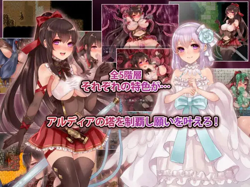 图片[4]-【精品RPG/战斗H】阿尔迪亚之塔（アルディアの塔） V1.03 STEAM官方中文版 [1.20G]-ACG游戏姬