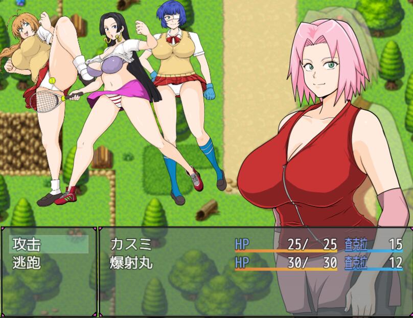 新汉化[日式RPG] 巨乳忍者 Ver1.2 内嵌AI汉化版+全回想存档 [1.90G]-ACG游戏姬