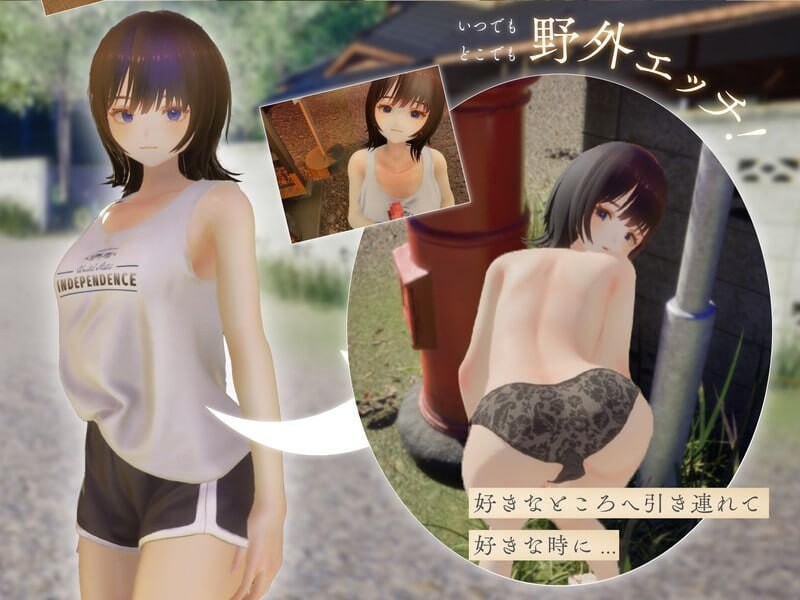 图片[3]-新作[互动3D/触摸抚摸/动态] 夏姐姐 ～我恋爱的30天～ なつねえ ～僕が恋した30日～ 正式版 [2.40G]-ACG游戏姬