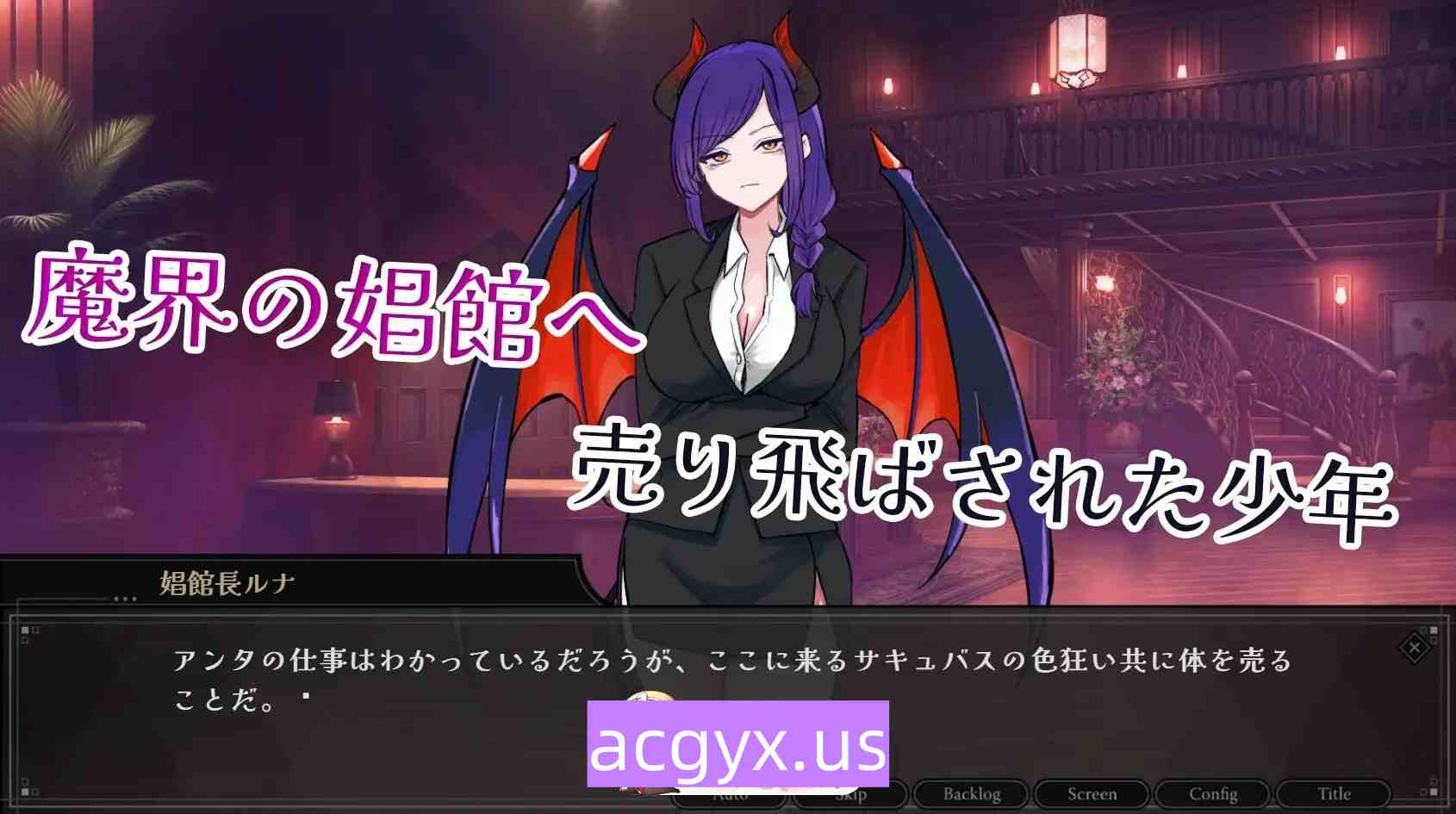 图片[2]-新作[探索SLG/巨乳爆乳] 欢迎来到魅魔专用！逆强奸妓院 サキュバス専用！逆レイプ娼館へようこそ AI汉化版+自带全回想 [2.40]-ACG游戏姬
