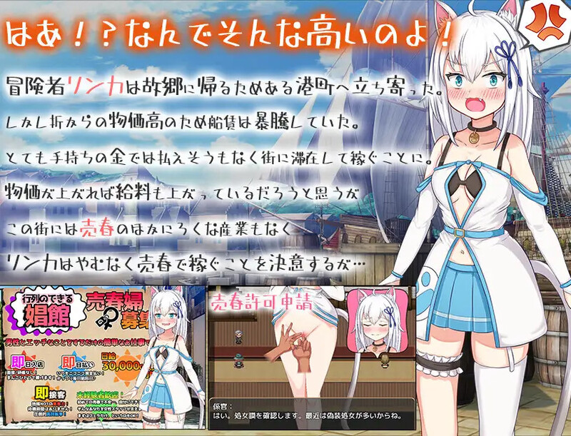 [日式SLG/汉化] 赚钱吧!猫耳娘～异世界卖春SLG～ 稼げ猫耳娘 ～異世界売春SLG～ AI汉化版+全CG存档 [2.40G]-ACG游戏姬