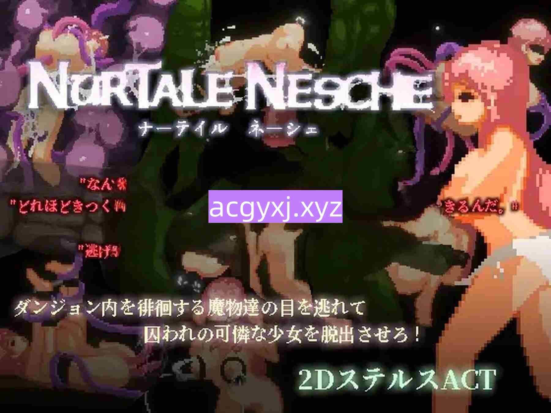 图片[2]-更新[日式ACT] 努尔塔莱·内舍 nurtale nesche v1.0.4.22 官方中文步兵版 [1.50G]-ACG游戏姬