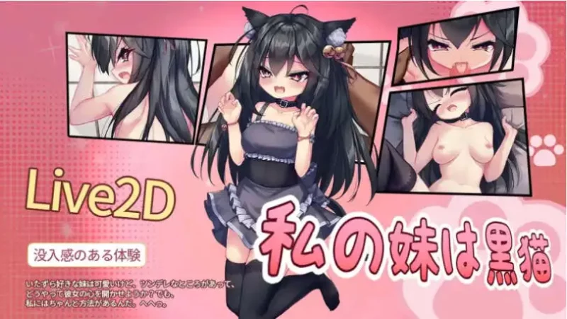 【SLG/中文/动态】我的妹妹是黑猫 官方中文版[新作]【PC/150M】-ACG游戏姬