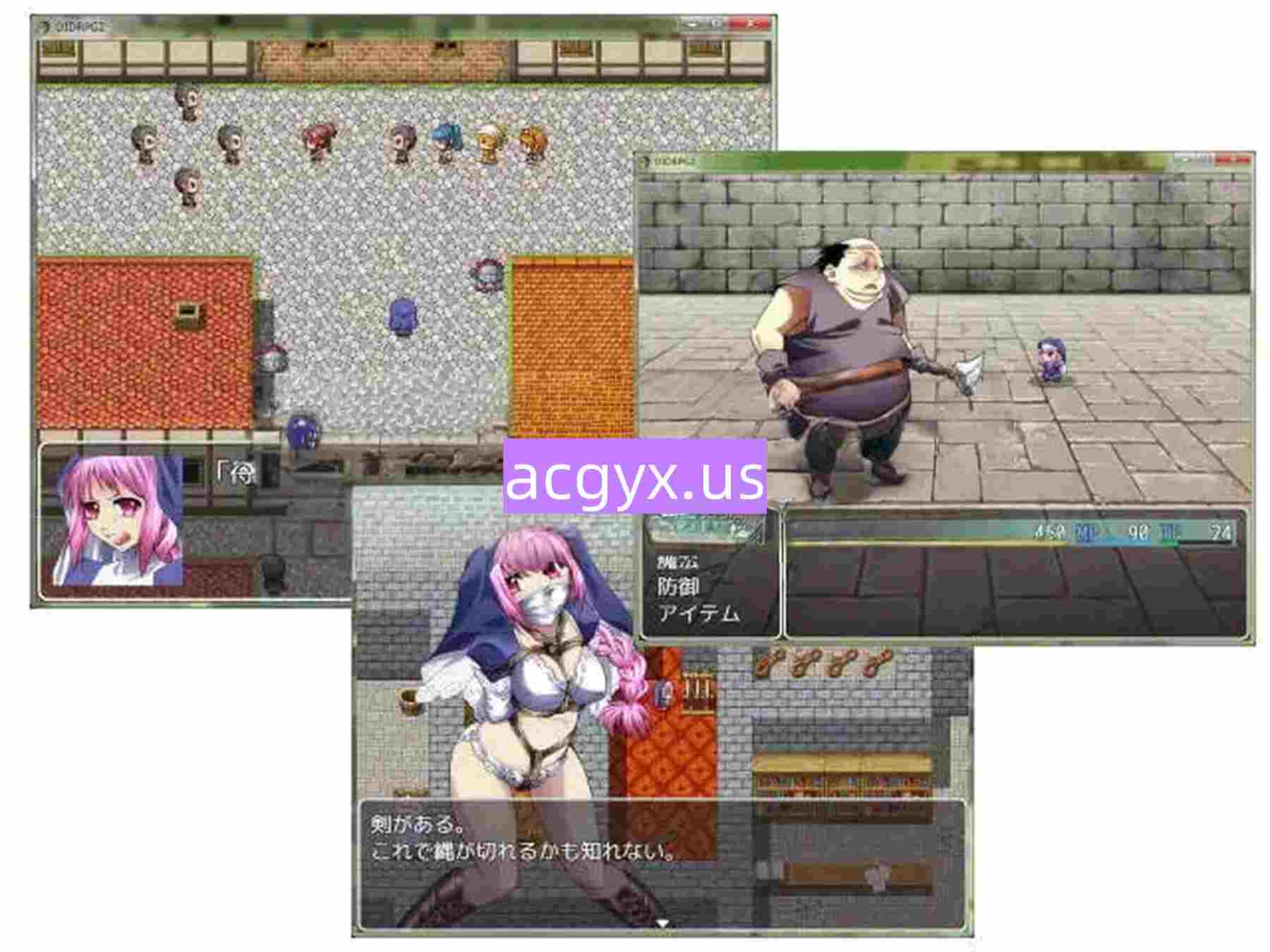 图片[3]-[日式RPG] DID RPG2 ―神殿骑士诱拐― DID RPG2 ―神殿騎士誘拐― 机翻版 [760M]-ACG游戏姬