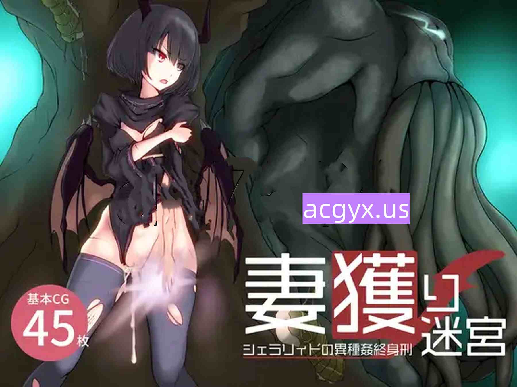 [回合RPG/异种X] 猎妻迷宫 Hunting Labyrinth V1.09 STEAM官中版 [1.10G]-ACG游戏姬
