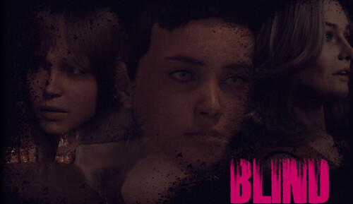 【欧美/SLG/动态】盲视 Blind v1.1AI汉化【PC+安卓/1.61G】-ACG游戏姬