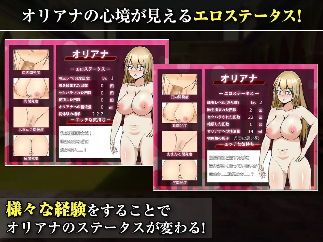 图片[6]-新作[探索RPG/巨乳/爆乳] 王国的勇骑士奥莉安娜 王国の勇騎士オリアナ AI汉化版+自带全回想 [840M]-ACG游戏姬